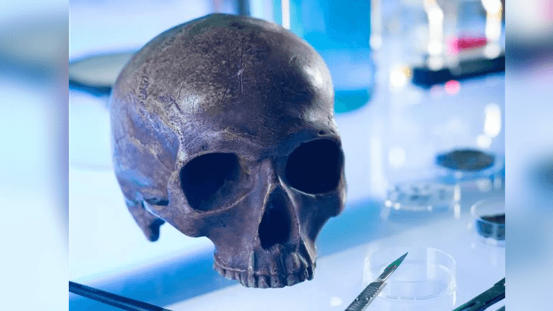 A photo of a human skull, minus the jawbone, resting on a glass table. The scene is lit to look like an advanced science lab and shows a scalpel and a brush resting next to the skull, as well as numerous bottles and beakers in the background.