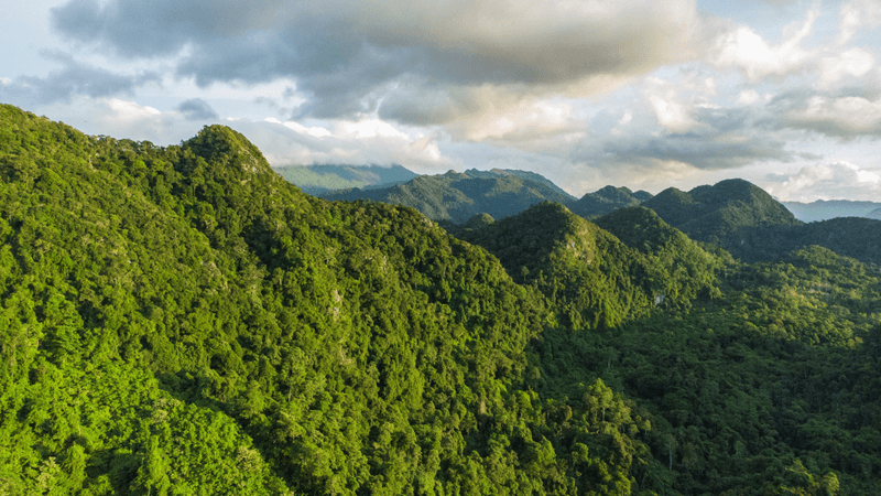 Beautiful aerial view of the forest in the Bukit Barisan mountains in Aceh Province, Indonesia