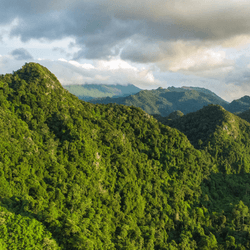 Beautiful aerial view of the forest in the Bukit Barisan mountains in Aceh Province, Indonesia