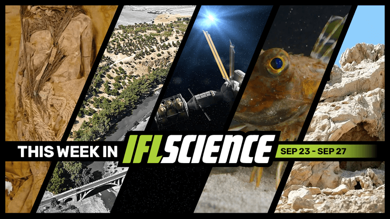 All the biggest science news stories of the week.