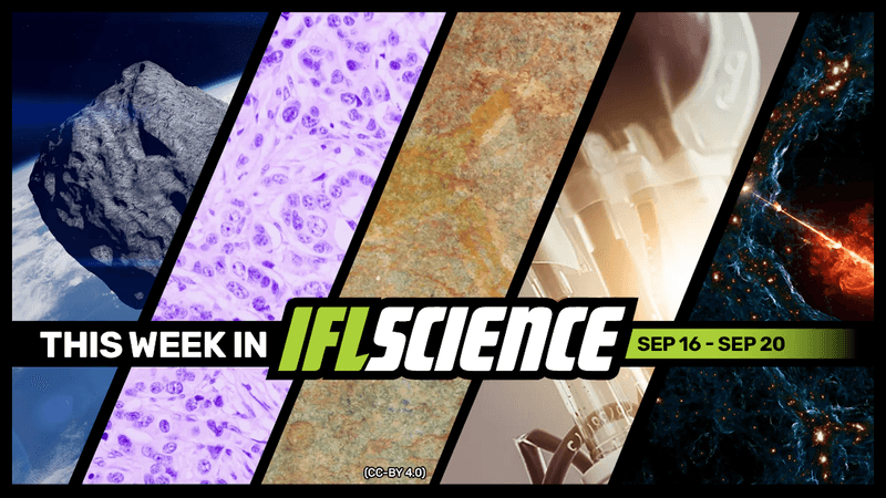 All the biggest science news stories of the week.