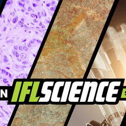 All the biggest science news stories of the week.