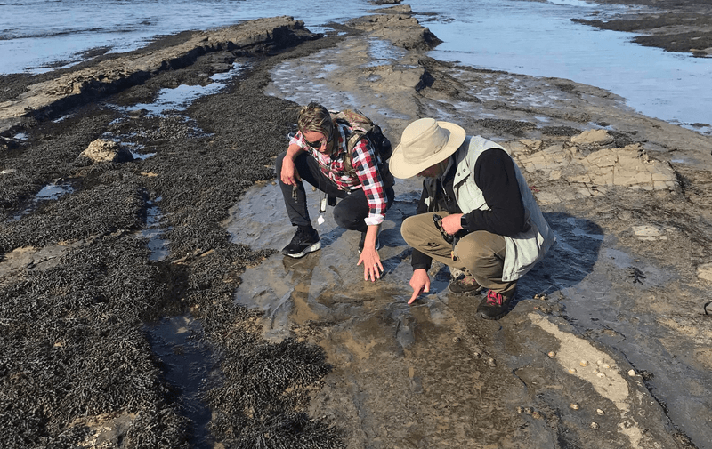 Melissa Lowery and Anthony Martin examine one of the dinosaur tracks, the finding of which was Lowery's pandemic project.