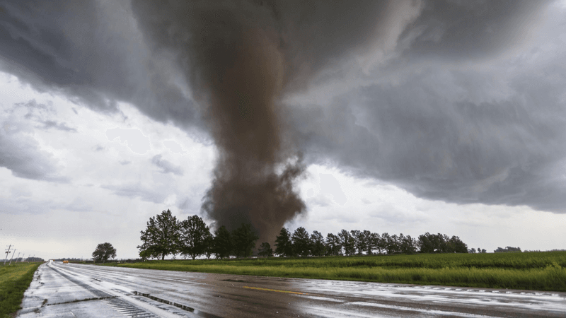 a tornado among some trees, photographer perspective is from not very far away, grey funnel shaped cloud going into the sky