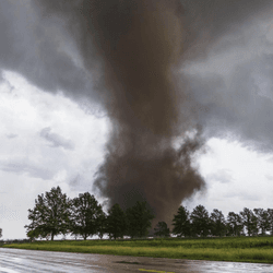 a tornado among some trees, photographer perspective is from not very far away, grey funnel shaped cloud going into the sky